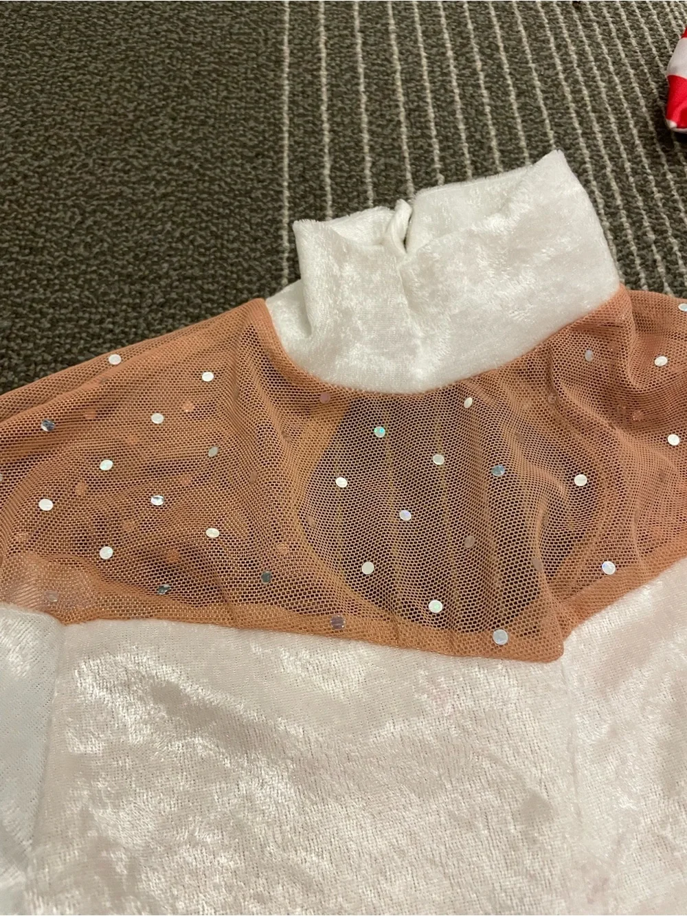 Holiday Velvet Dance costume